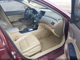 HONDA ACCORD 3.5 EX-L 1HGCP36809A026761 photo