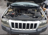 JEEP GRAND CHEROKEE LAREDO 1J4GW48S64C132172 снимка