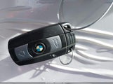 BMW 128I WBAUN1C53CVR00251 снимка