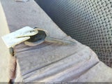 Dodge Ram  St 1B7HF13Z8XJ610864 снимка