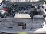 FORD F-150 XLT 1FTEW1EP9NFA65479 снимка