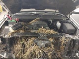 Chevrolet Tahoe Lt 1GNSKBE03ER222663 снимка