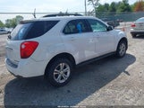 CHEVROLET EQUINOX 1LT 2CNFLEEC6B6321273 снимка