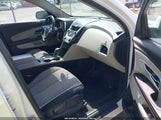 CHEVROLET EQUINOX 1LT 2CNFLEEC6B6321273 снимка