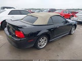 FORD MUSTANG 1FAFP44472F143656 снимка