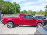 FORD F-150 XLT 1FTFW1ET1DFD31612 снимка