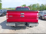 FORD F-150 XLT 1FTFW1ET1DFD31612 снимка