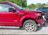 FORD F-150 XLT 1FTFW1ET1DFD31612 снимка