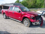 FORD F-150 XLT 1FTFW1ET1DFD31612 снимка