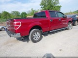 FORD F-150 XLT 1FTFW1ET1DFD31612 снимка