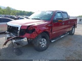 FORD F-150 XLT 1FTFW1ET1DFD31612 снимка