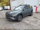 Hyundai Tucson Limited 5NMJECAE6NH156892 fotografie