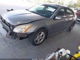 NISSAN MAXIMA 3.5 SE 1N4BA41E87C840579 снимка