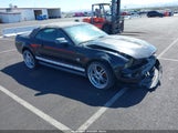 FORD MUSTANG V6/V6 PREMIUM 1ZVHT84N695138086 photo