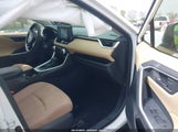 TOYOTA RAV4 LE JTMG1RFV4KD022825 снимка