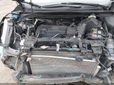HONDA CR-V LX 5J6RM4H35GL141019 fotografie