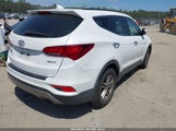 HYUNDAI SANTA FE SPORT 2.4L 5NMZU3LB1JH061076 fotografie