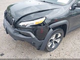 JEEP CHEROKEE TRAILHAWK 1C4PJMBSXGW219315 снимка
