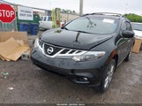 NISSAN MURANO LE JN8AZ1MU6EW401882 photo