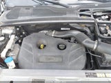 LAND ROVER RANGE ROVER EVOQUE PURE SALVP2BG6FH971949 снимка