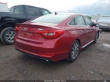 HYUNDAI SONATA SPORT 5NPE34AF8GH369838 photo