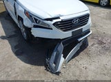 Hyundai Sonata Limited 2.0T 5NPE34ABXFH256470 fotografie