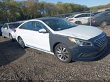 Hyundai Sonata Sport 5NPE34AF8FH059042 снимка