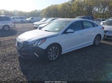 Hyundai Sonata Sport 5NPE34AF8FH059042 снимка