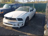 FORD MUSTANG V6 1ZVFT84N265189815 снимка