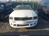 FORD MUSTANG V6 1ZVFT84N265189815 снимка
