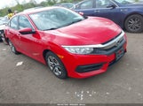 HONDA CIVIC LX 2HGFC2F57HH556962 снимка