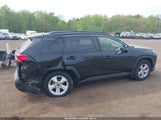 TOYOTA RAV4 XLE JTMP1RFV6KD500954 снимка