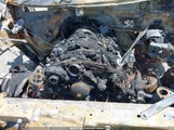 CHEVROLET SILVERADO 1500 4WD SHORT BED LT 1GCUYDED7MZ116794 photo