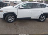 HYUNDAI TUCSON SEL 5NMJBCDE2RH362446 снимка
