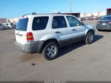 FORD ESCAPE XLT/XLT SPORT 1FMCU03196KD47986 photo
