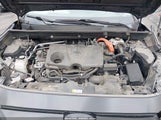 TOYOTA RAV4 HYBRID XLE PREMIUM 4T3B6RFV5MU031406 fotografie
