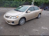 TOYOTA COROLLA LE 2T1BU4EE8DC018511 fotografie
