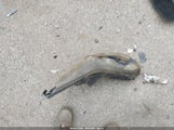 HONDA ACCORD EXL 1HGCR3F84GA028374 снимка