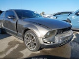 Ford Mustang V6 Deluxe/V6 Premium 1ZVFT80N355129272 fotografie