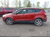 FORD ESCAPE TITANIUM 1FMCU9J98EUA75107 снимка