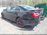 FORD TAURUS SEL 1FAHP2E88DG173387 снимка