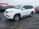 LEXUS GX 460 JTJBM7FX0B5028569 fotografie
