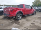 FORD F-150 FX4 1FTFW1ET0BKE16588 снимка