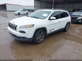 JEEP CHEROKEE 75TH ANNIVERSARY EDITION FWD 1C4PJLCBXHW578514 fotografie