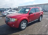 FORD ESCAPE XLT 1FMCU93118KA57619 снимка
