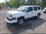 JEEP PATRIOT SPORT 1C4NJRBB8DD249523 fotografie