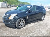 CADILLAC SRX PERFORMANCE COLLECTION 3GYFNEEY2BS521704 fotografie