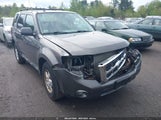 FORD ESCAPE XLT 1FMCU0D77AKC63127 снимка