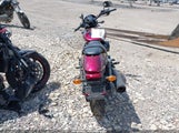 HARLEY-DAVIDSON XG500 1HD4NAA19FC506562 fotografie