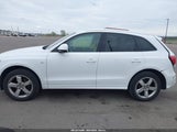AUDI Q5 3.2 PREMIUM PLUS WA1WKAFP8BA079732 снимка